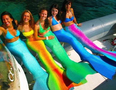 Alpha Diving Mermaids 