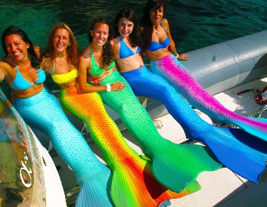 Alpha Diving Mermaids Alpha Diving Mermaids