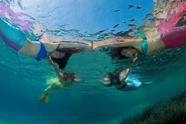 Alpha Diving Mermaids Alpha Diving Mermaids